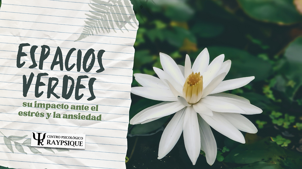 El impacto de los espacios verdes ante el estrés y la ansiedad I Portada
