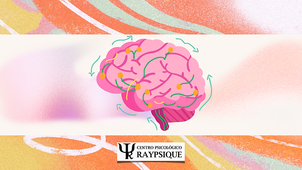 Neuroplasticidad.png