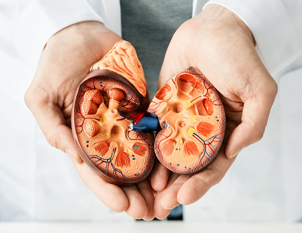 treatment-of-kidney-diseases-urologist-showing-an-2026-03-24-03-23-26-utc.jpg