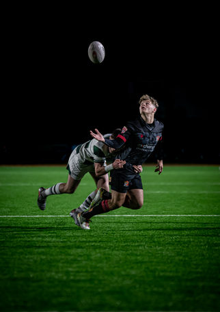 Wales Rugby