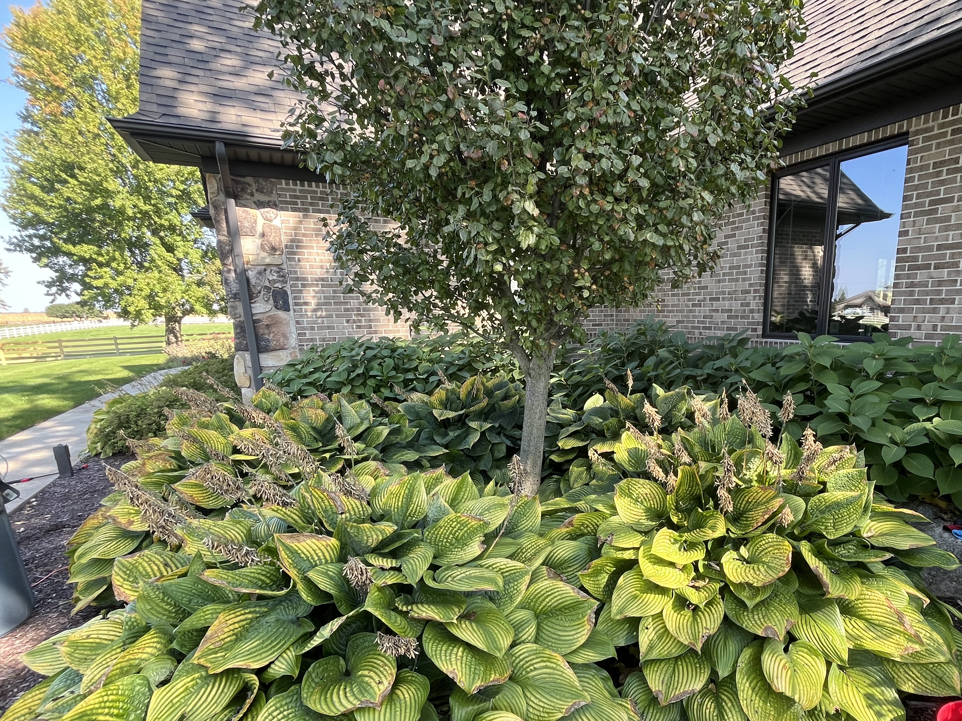 Writer: Garden of Grief Landscaping 