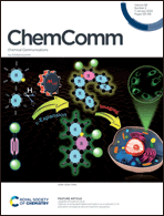 Dewanji Chem Comm 2022