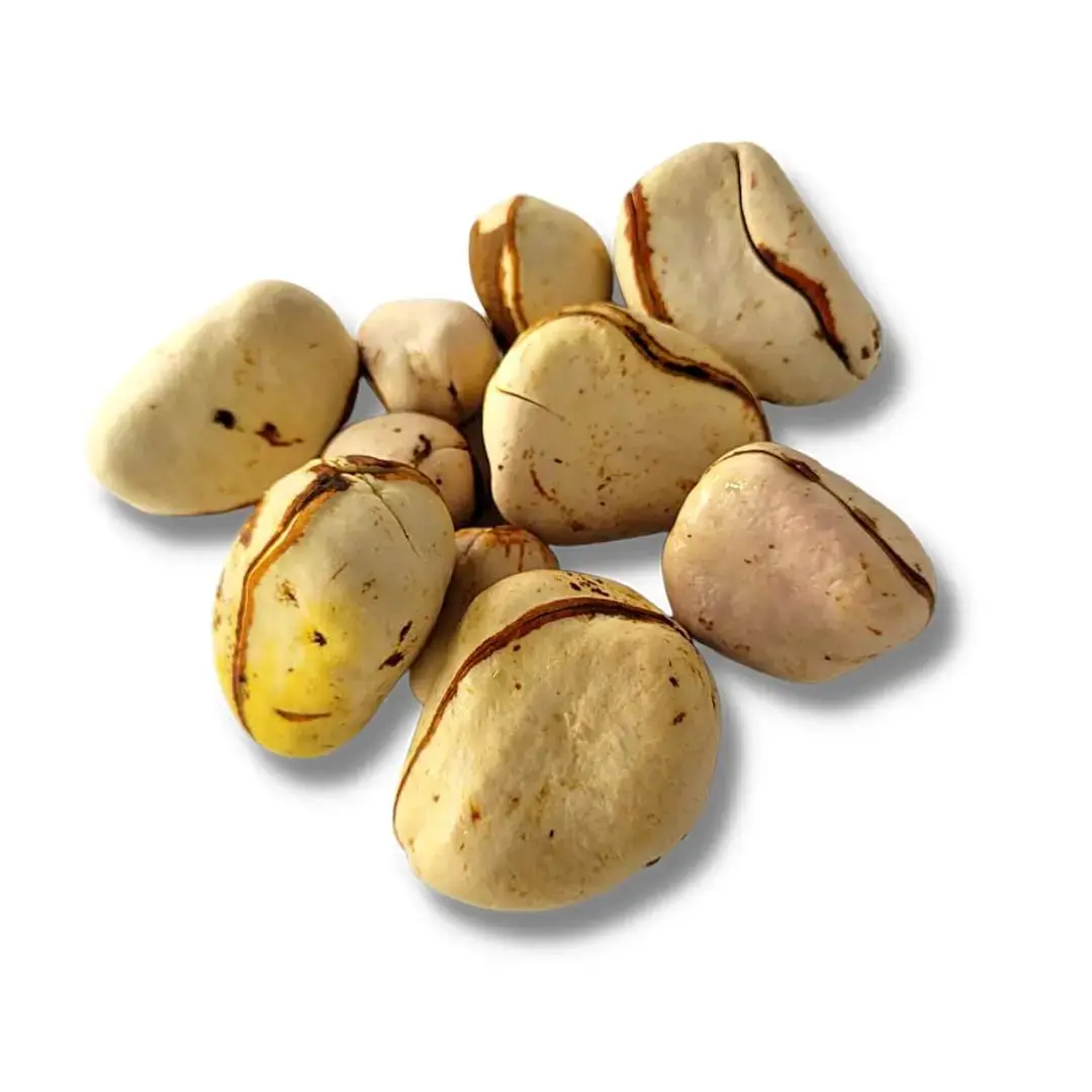 OBI BRANCO (D'ÁGUA) - UNIDADE