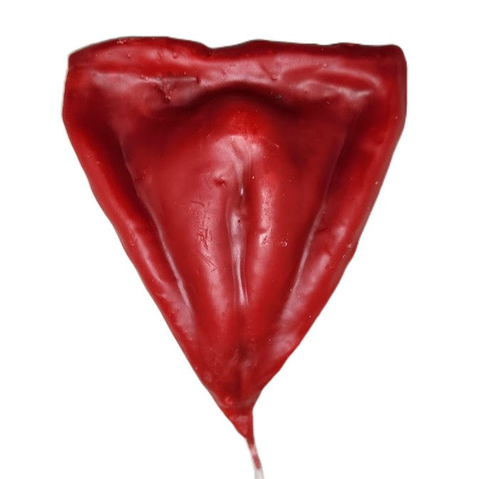 Miniatura: VELA DE MAGIA FEMININO 10CM