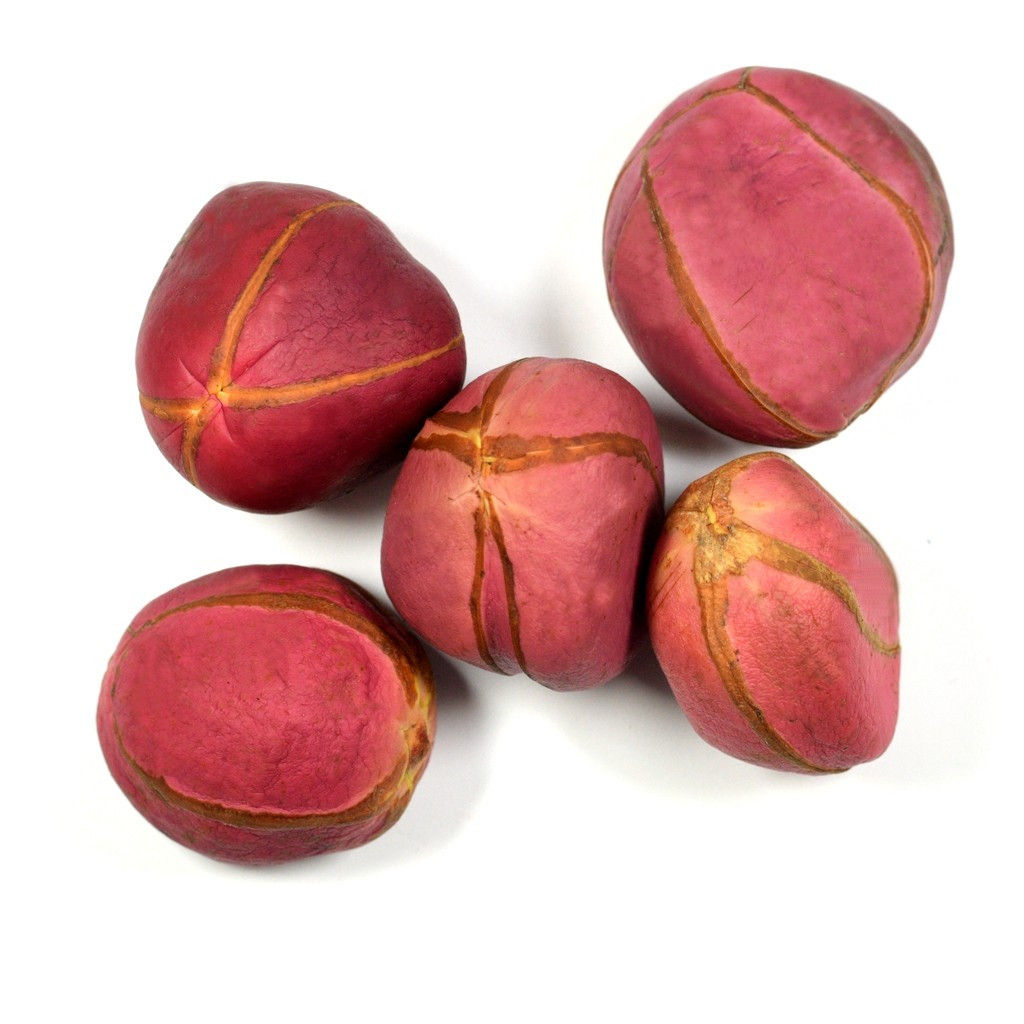 OBI VERMELHO (AFRICANO 4 GOMOS) - UNIDADE