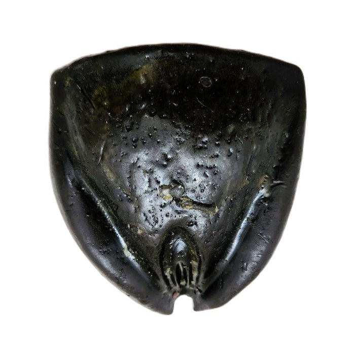 Miniatura: VELA DE MAGIA FEMININO 10CM