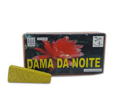 DEFUMADOR 60G DAMA DA NOITE