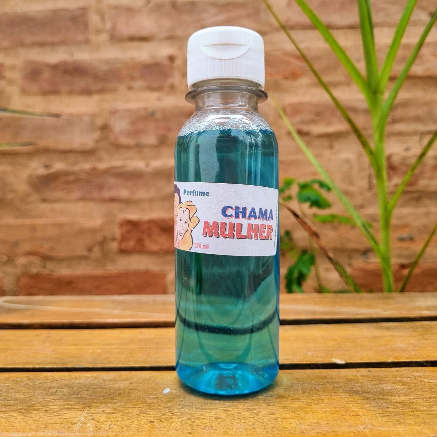 PERFUME 120ML CHAMA MULHER