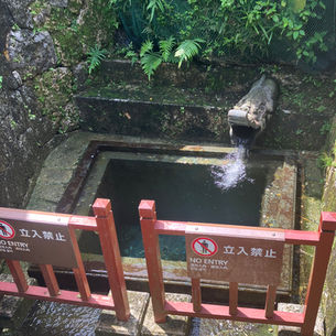 梟之琉球旅・2025夏　後編