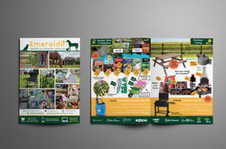 EMERALD BROCHURE_Overview