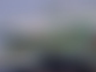 China-US shipping rates begin to cool as power crisis forces production cuts