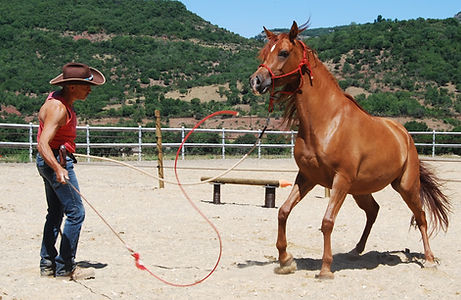 Chez Joseph Arabian