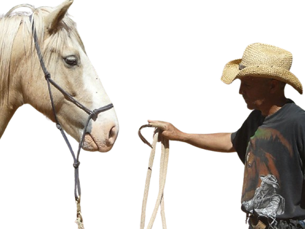 La rencontre