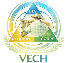 Logo VECH