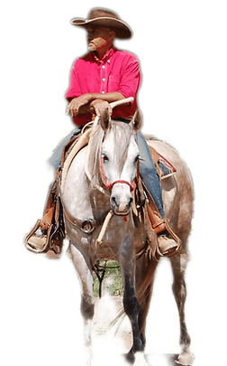 Le cheval ressent l’état de l’humain autant que ses actions.