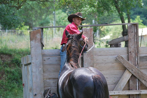 Travail du cheval