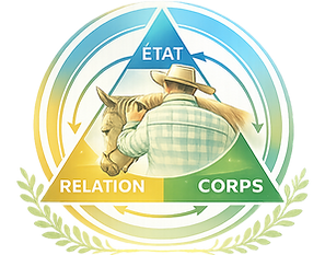 Logo VECH relation état corps