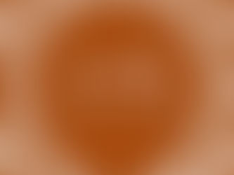 Lunch Services Update!