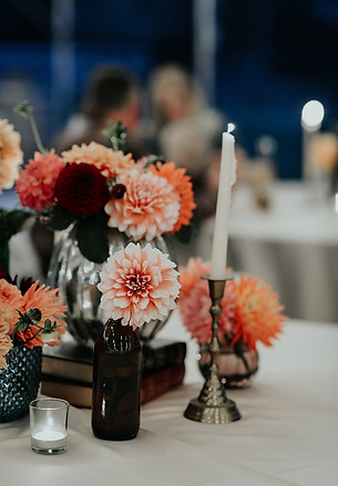 TonieChristinePhotography.Dara+SteveWedd