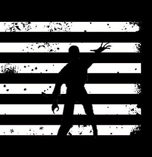 Horizontal%20flag%20with%20no%20words_ed
