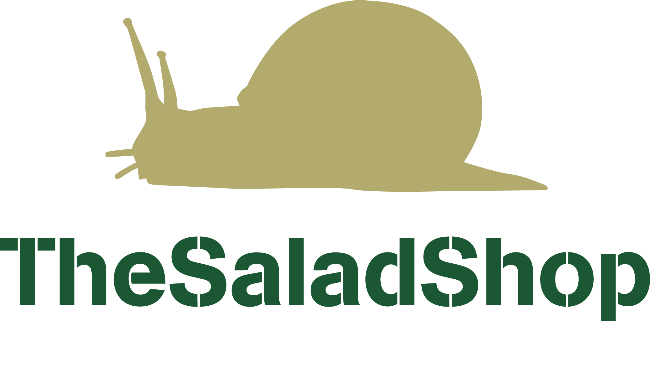 Food The Salad Shop Downtown Core