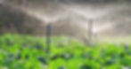 agua_foto_05.jpg