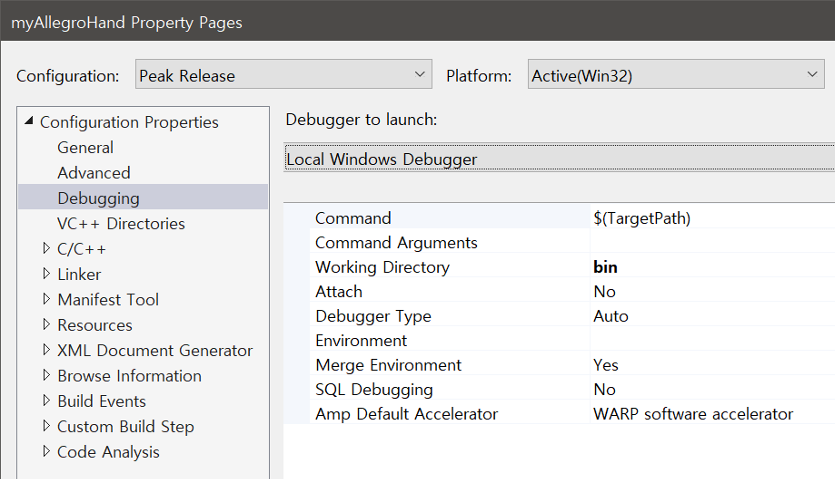 Visual Studio Debug Settings