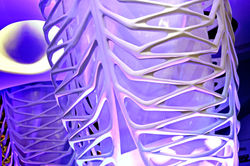 Alexander Wong Architects