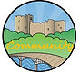Community Team Badge.jpg