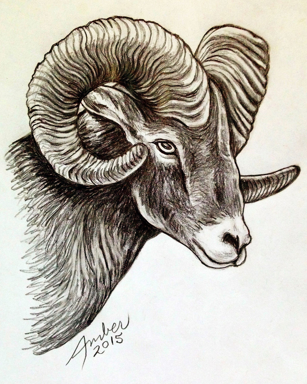 Ram