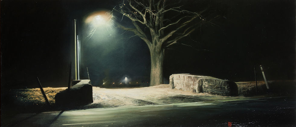 Notte di foschia