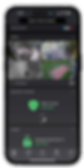 Evergreen Security Camera Footage App