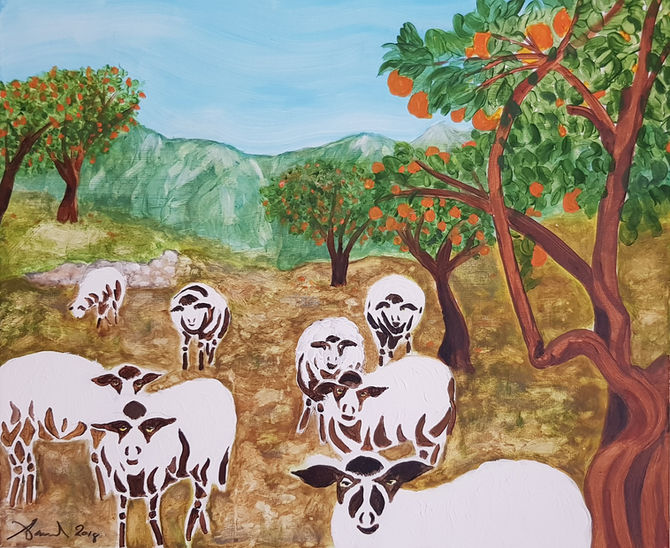 Las ovejas miran fijamente a los visitantes de su montaña (sheep stare at visitors to their mountain