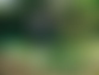 rondleiding Regeneratieve boerderij