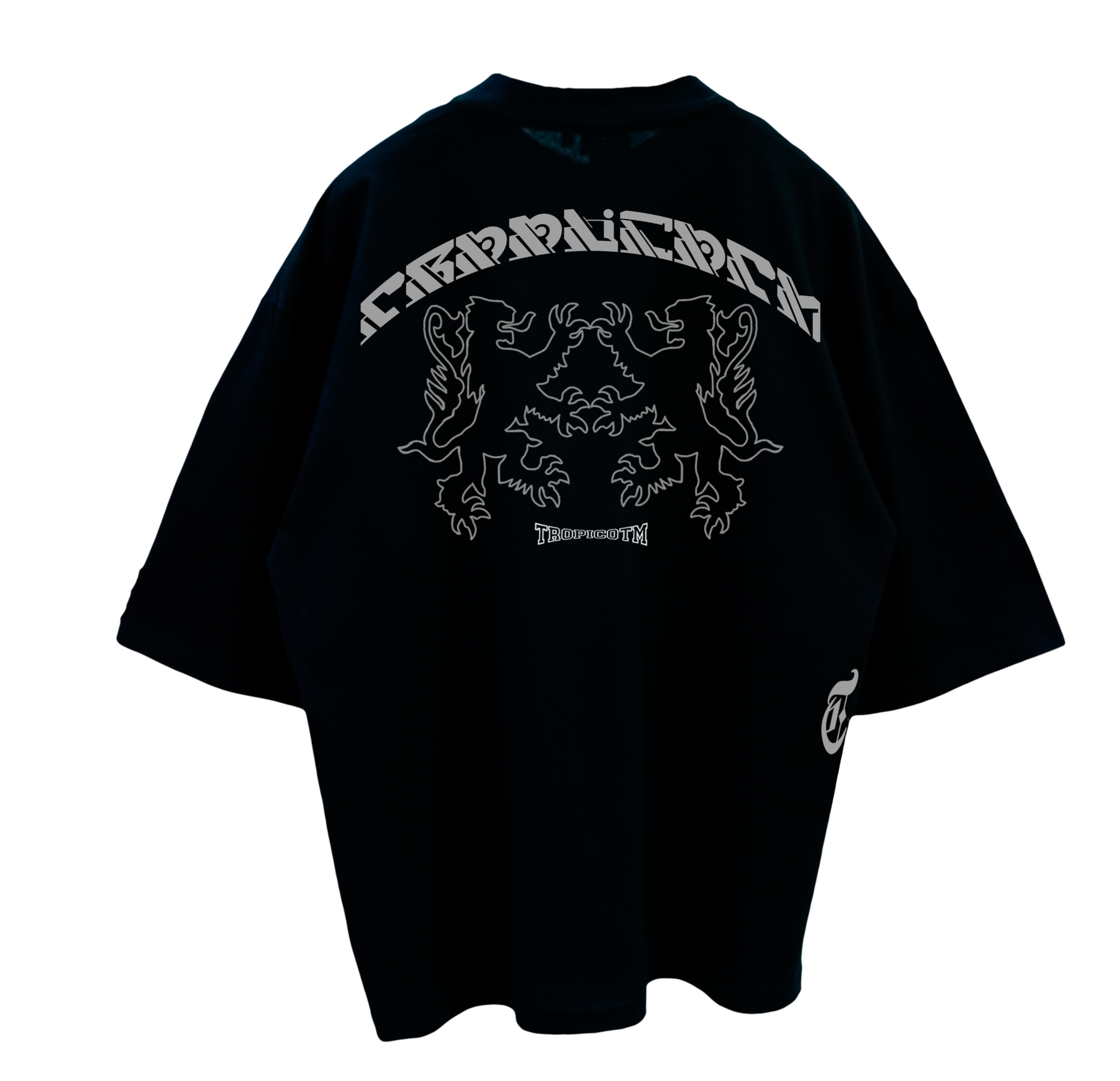 REMERA LION TTM RFRACTV*