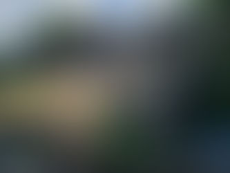 2025: une année de transition