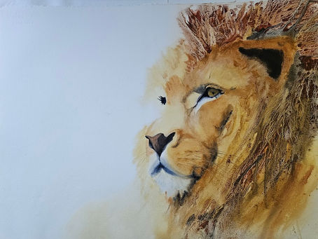 Aquarelle d’un lion avec une crinière texturée en granulation