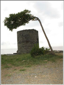 INTERAZIONI (18).jpg