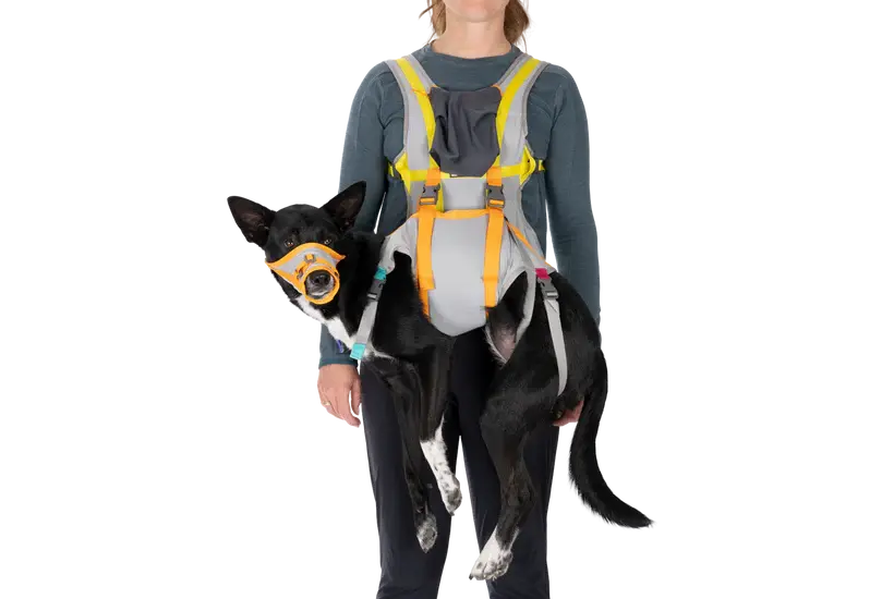 ערכת חירום BackTrak Dog Evacuation Kit