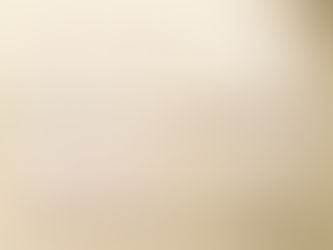 2019個展の様子をアップしました。