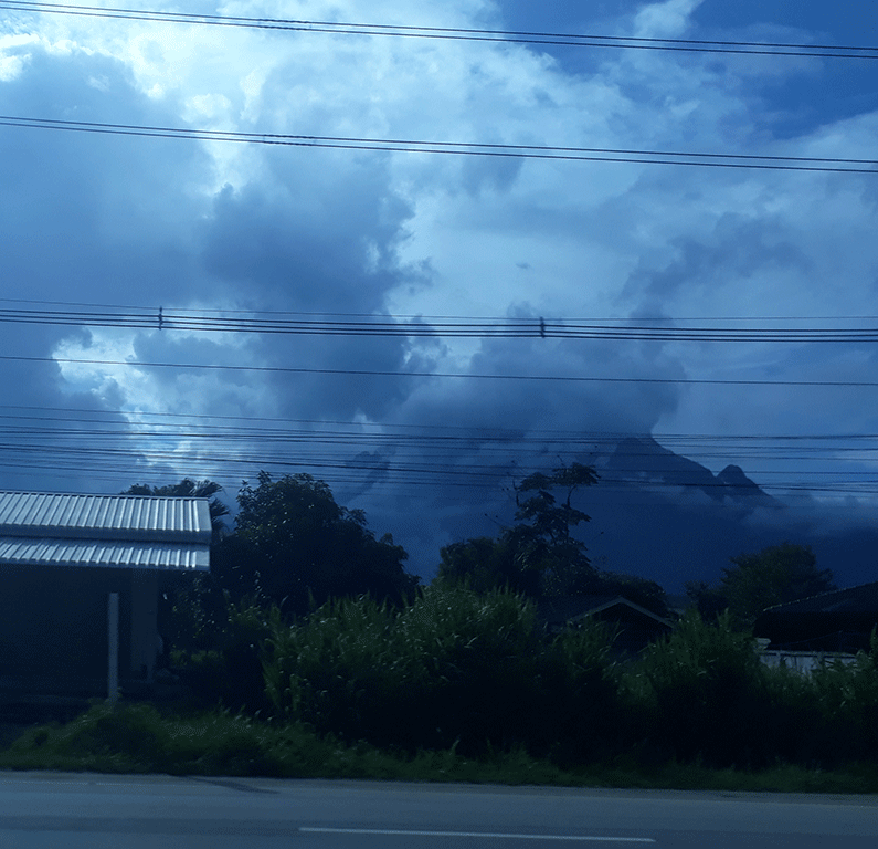 roadside-through-blue-van-window-2