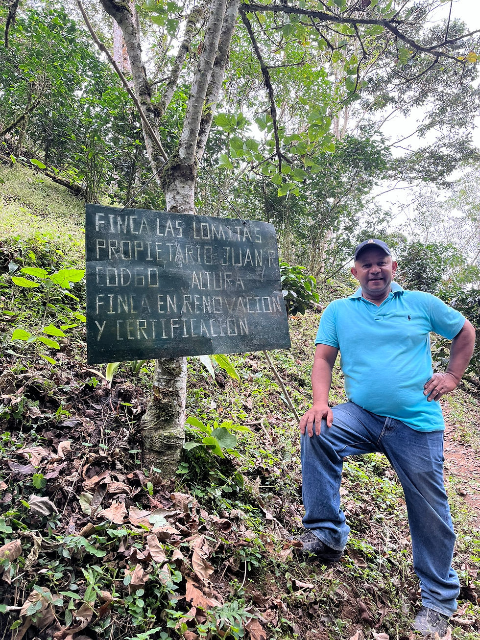 Thumbnail: Featured Elevar Micro Lot