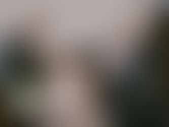 Capturing Love: Caitlin and Michael's Beautiful City Hall Wedding and Botanical Garden Photos in Oshawa