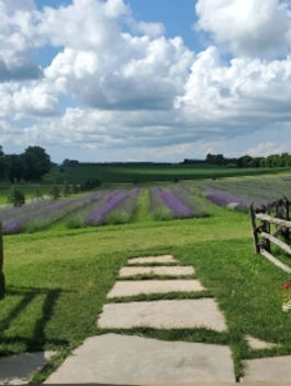 Field + Path Stone.jpeg