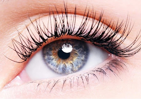 What is Gladys Eyelash Curling? Discover the Natural, Long-Lasting, Chemical-Free Lash Curling Method