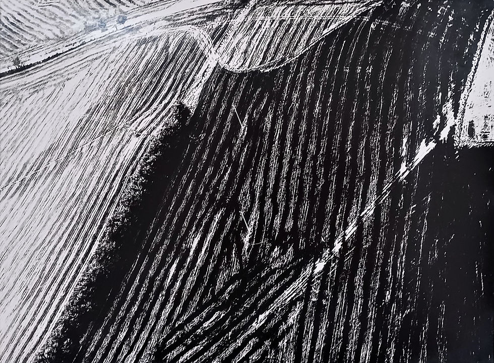 Mario Giacomelli, vintage 1982