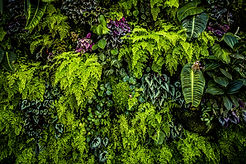 AdobeStock_141305976.jpeg