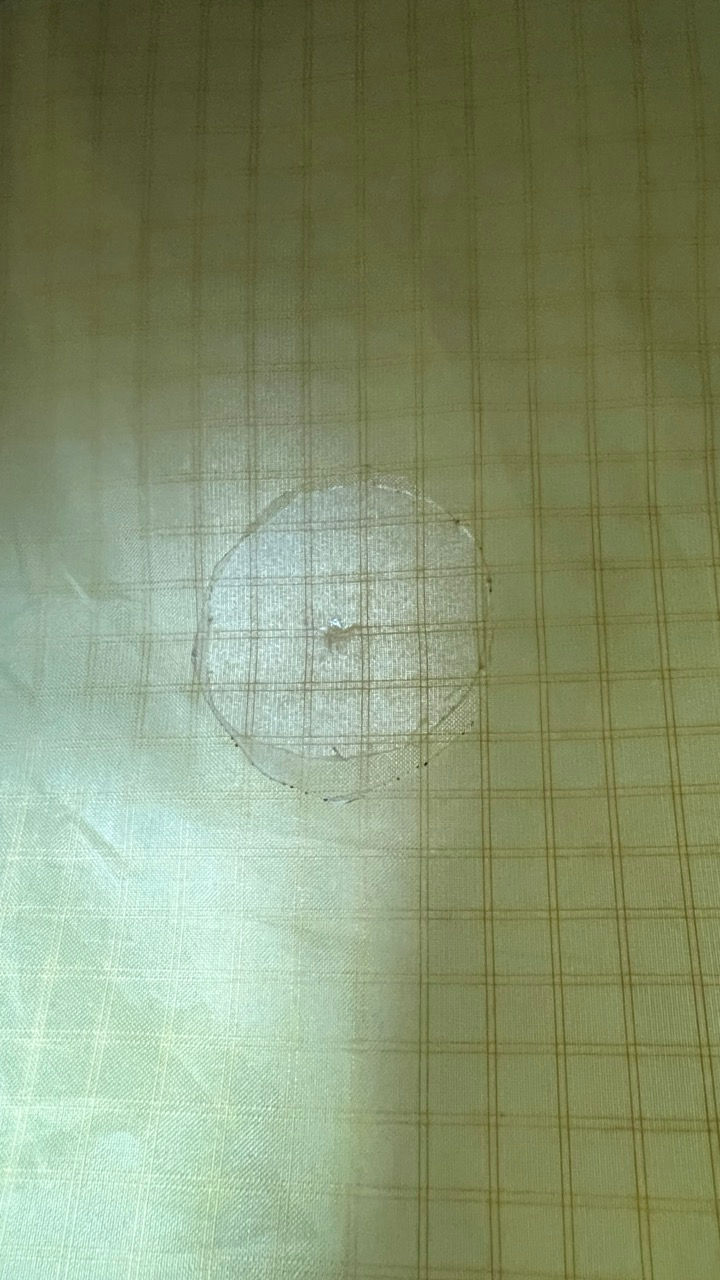 Miniature : wing ozone wasp v2