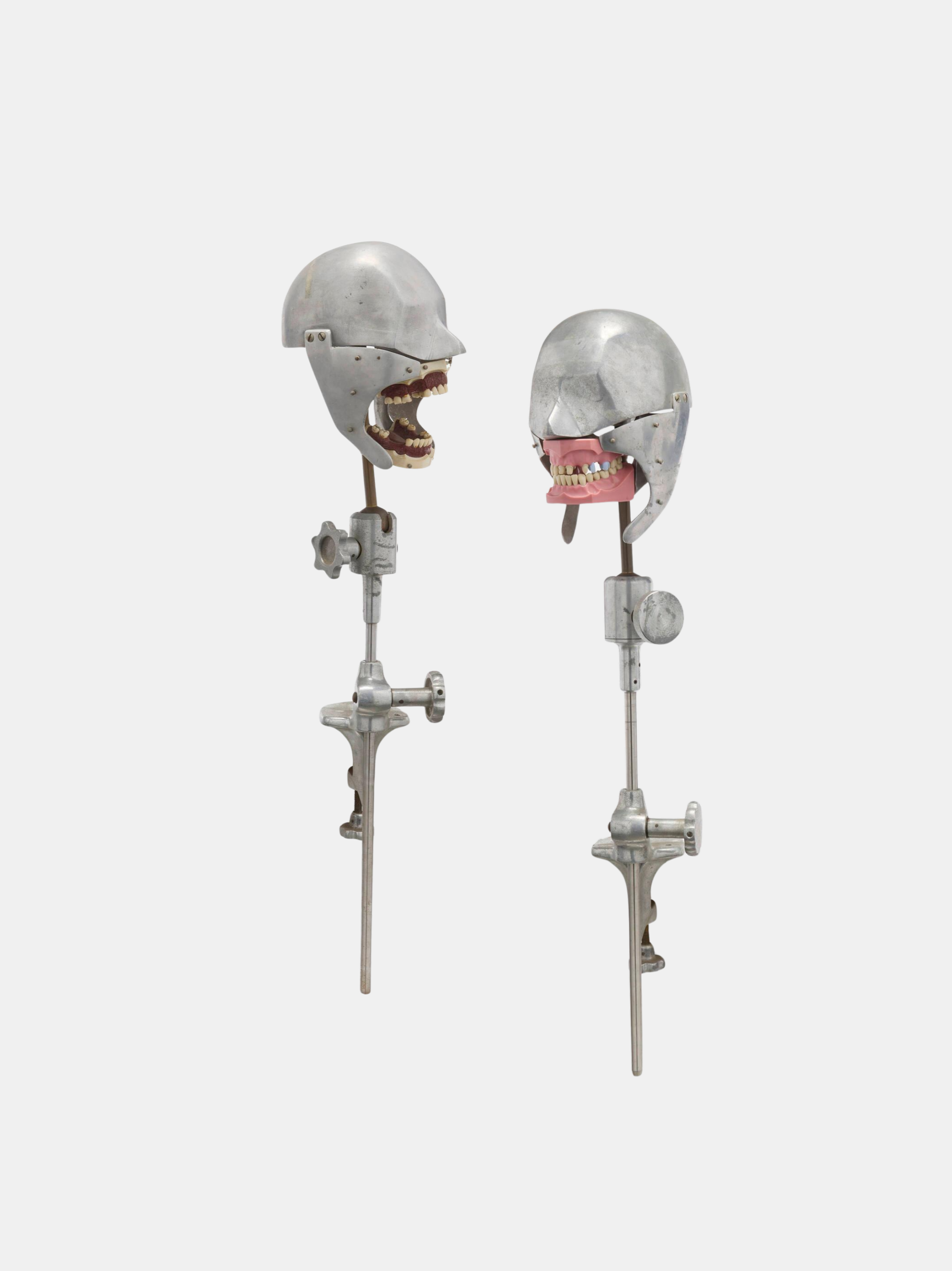 C. 1950. Harper College Illinois, Dental School Teaching Heads (American)