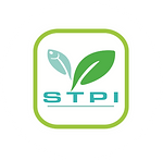 stpi.png